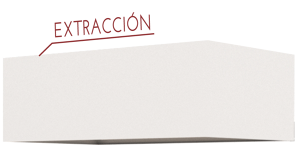 Extraccion-1